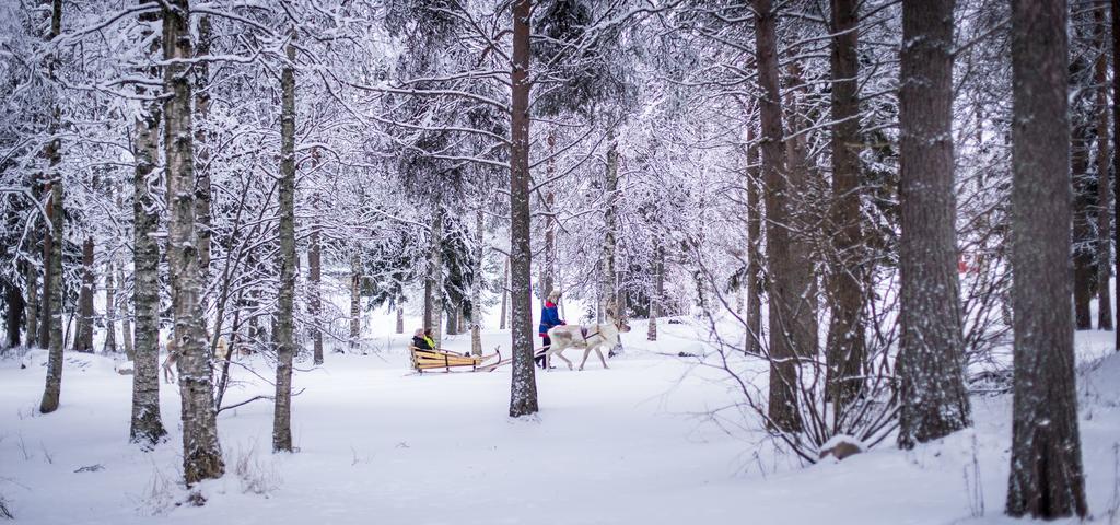 מלון ראנואה Lapland Igloo מראה חיצוני תמונה