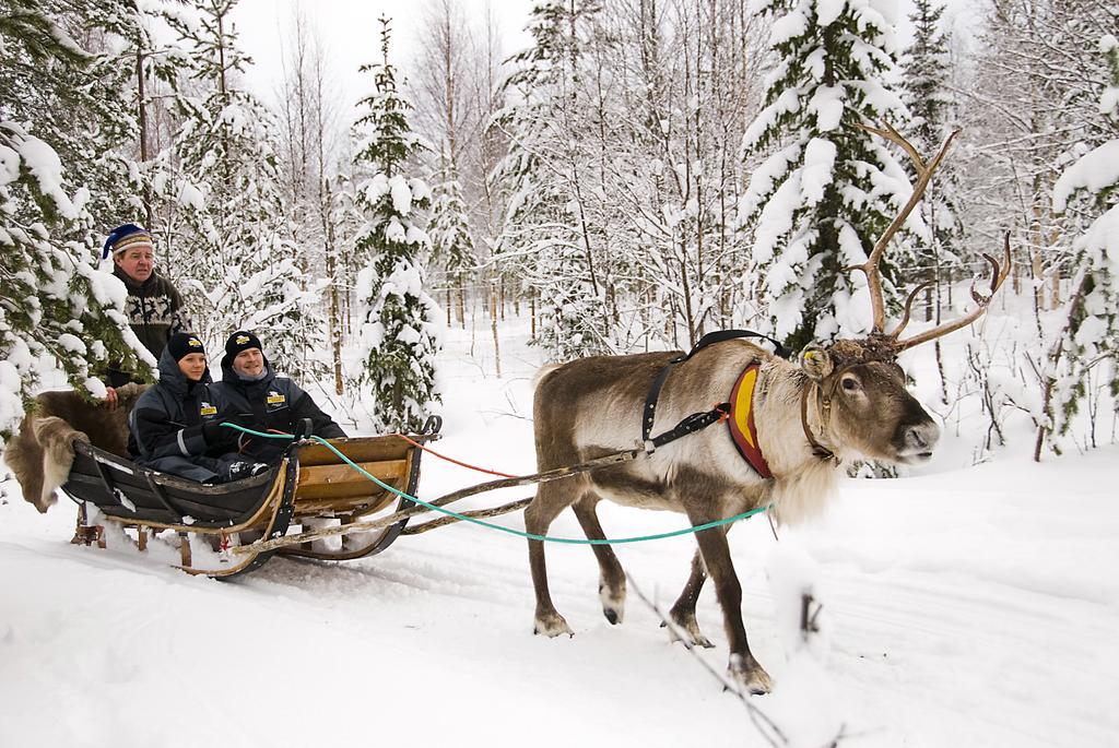 מלון ראנואה Lapland Igloo מראה חיצוני תמונה